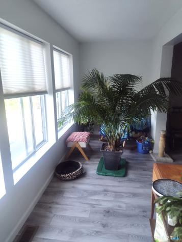 365 Woodford Avenue Plainville CT 06062