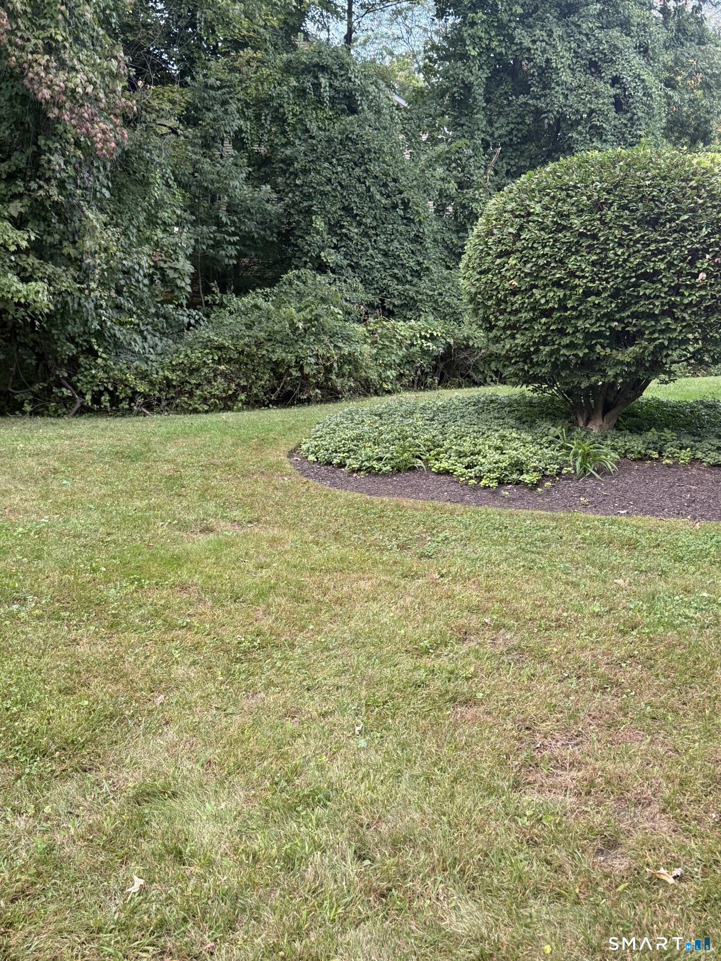 6 Rose Lane Danbury CT 06810