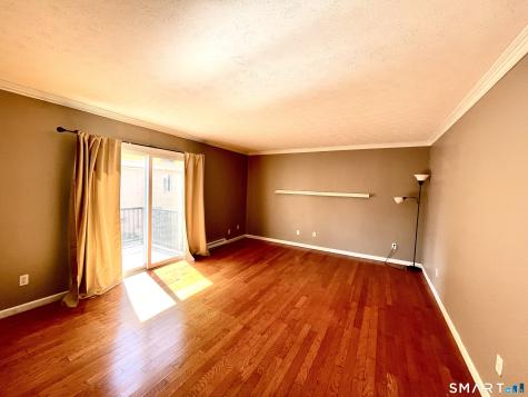 120 Wooster Street New Haven CT 06511