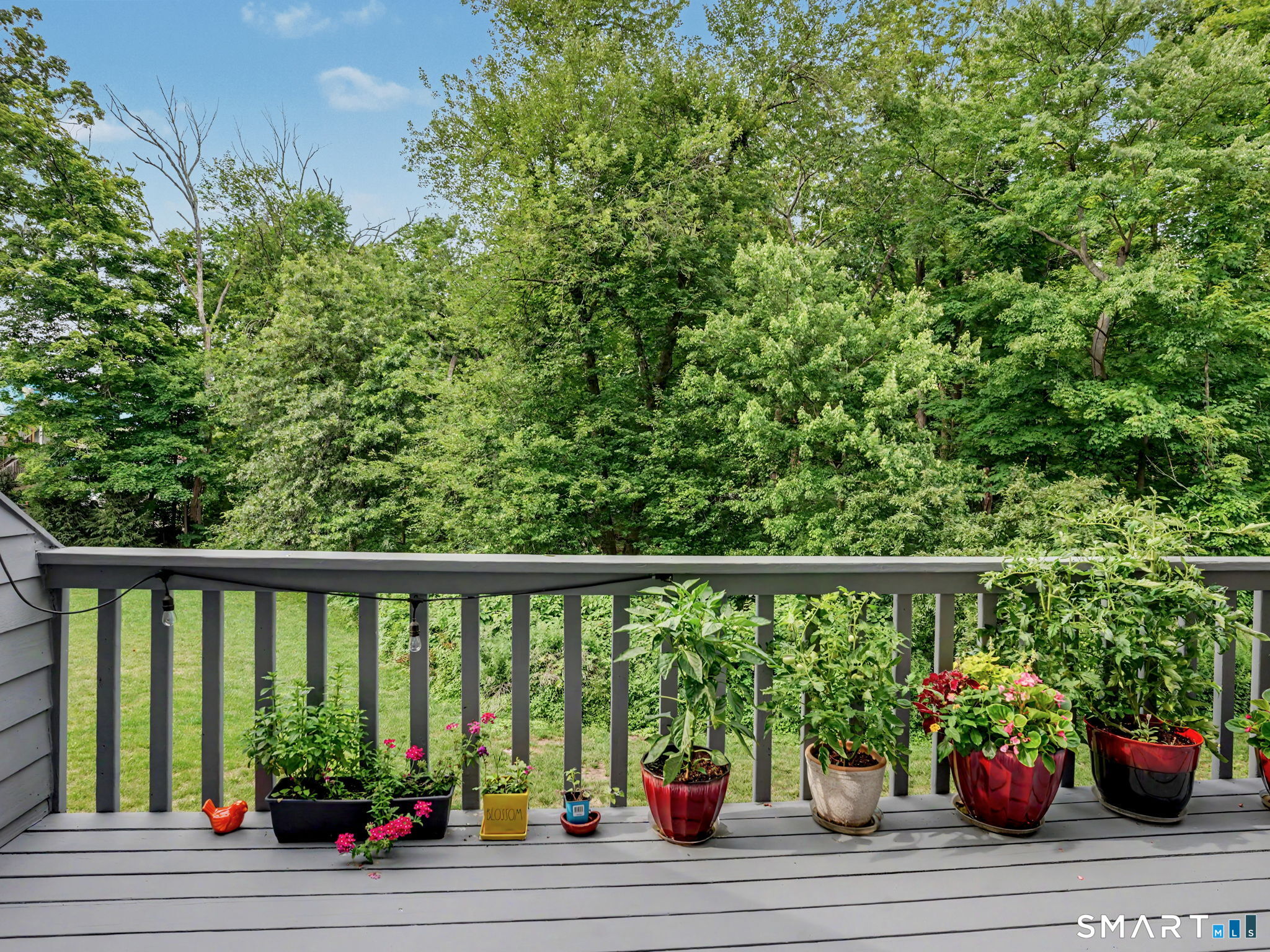 4 Fawn Ridge Lane Wilton CT 06897