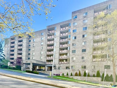 143 Hoyt Street Stamford CT 06905