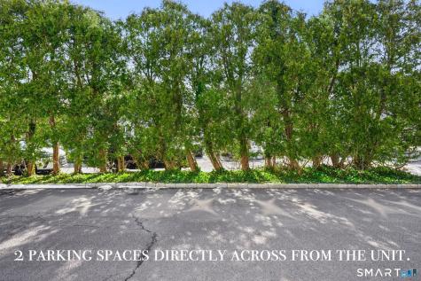 24 Decatur Street Greenwich CT 06807