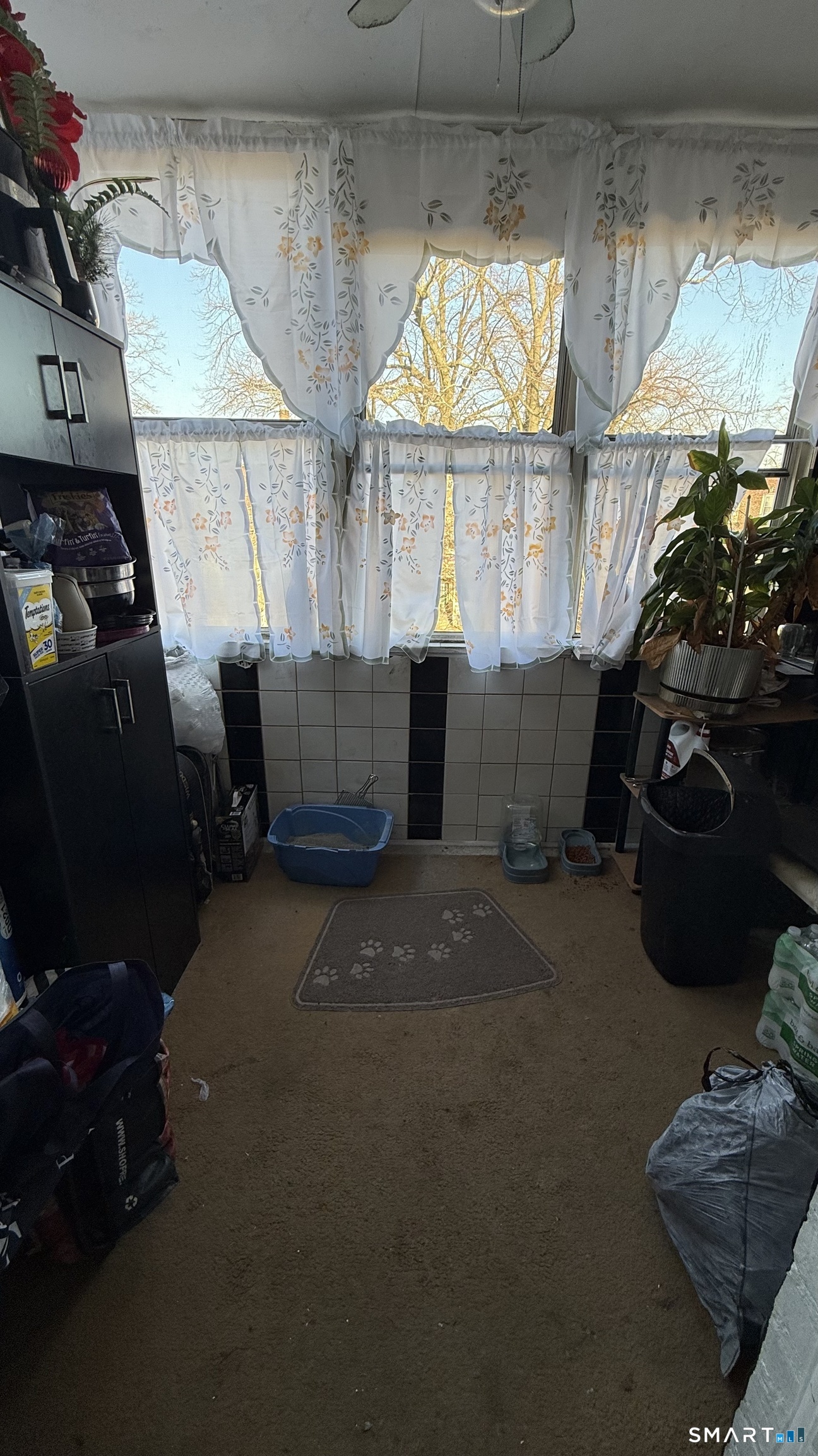 644 Carroll Avenue Bridgeport CT 06607