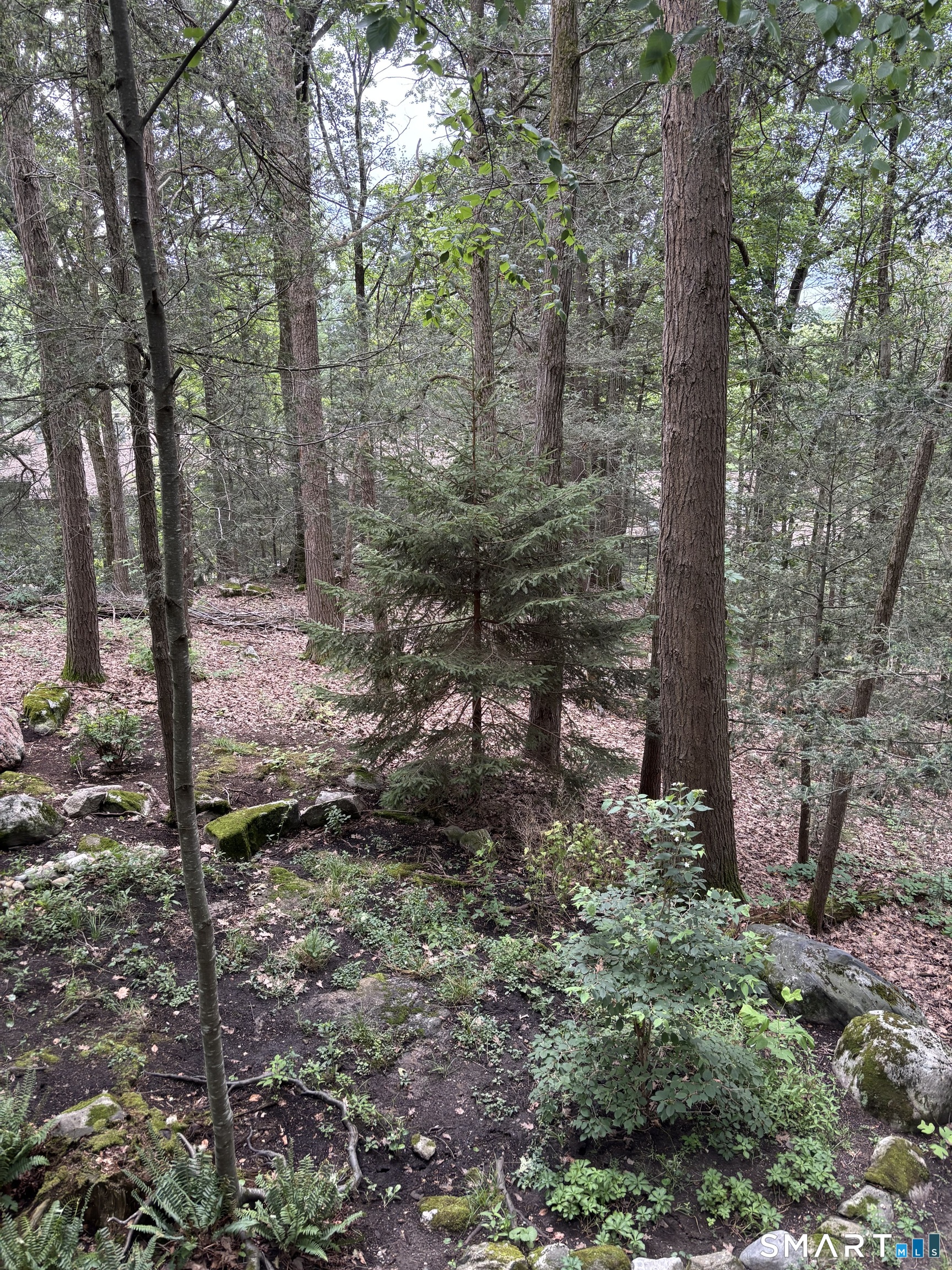 282 Cliffside Drive Torrington CT 06790