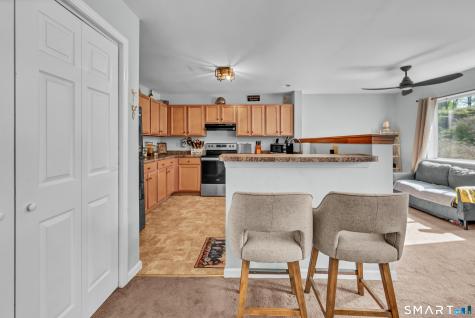 182 Willow Springs New Milford CT 06776