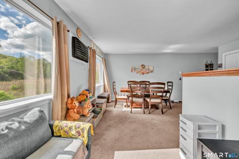 182 Willow Springs New Milford CT 06776