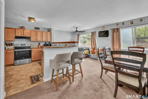 182 Willow Springs New Milford CT 06776