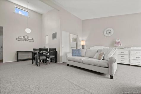 48 Olcott Way Ridgefield CT 06877