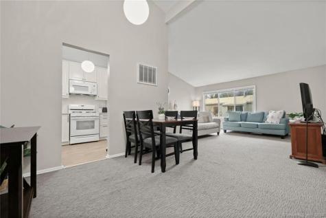 48 Olcott Way Ridgefield CT 06877