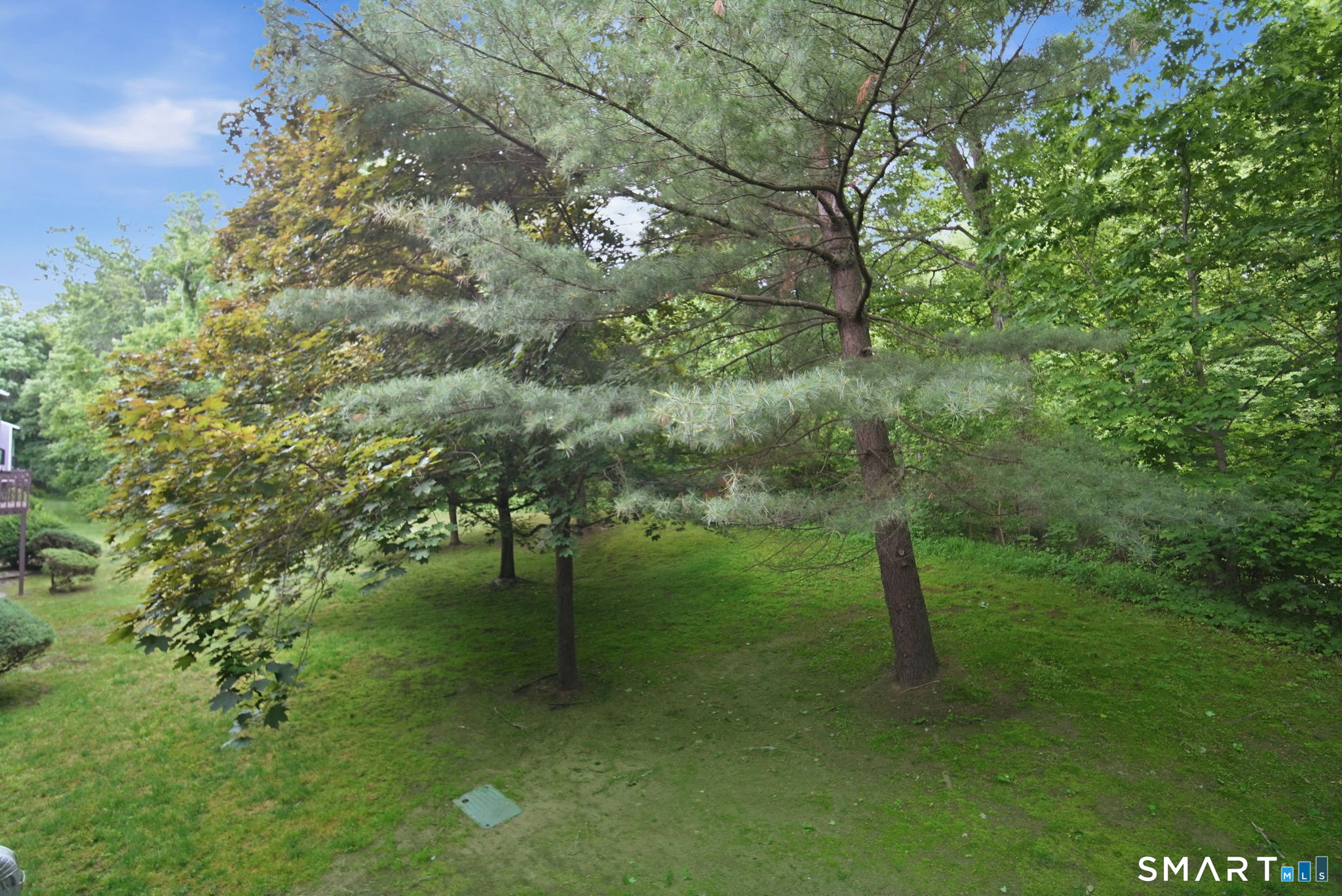 808 Mill Pond Drive South Windsor CT 06074