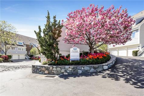 123 Harbor Drive Stamford CT 06902