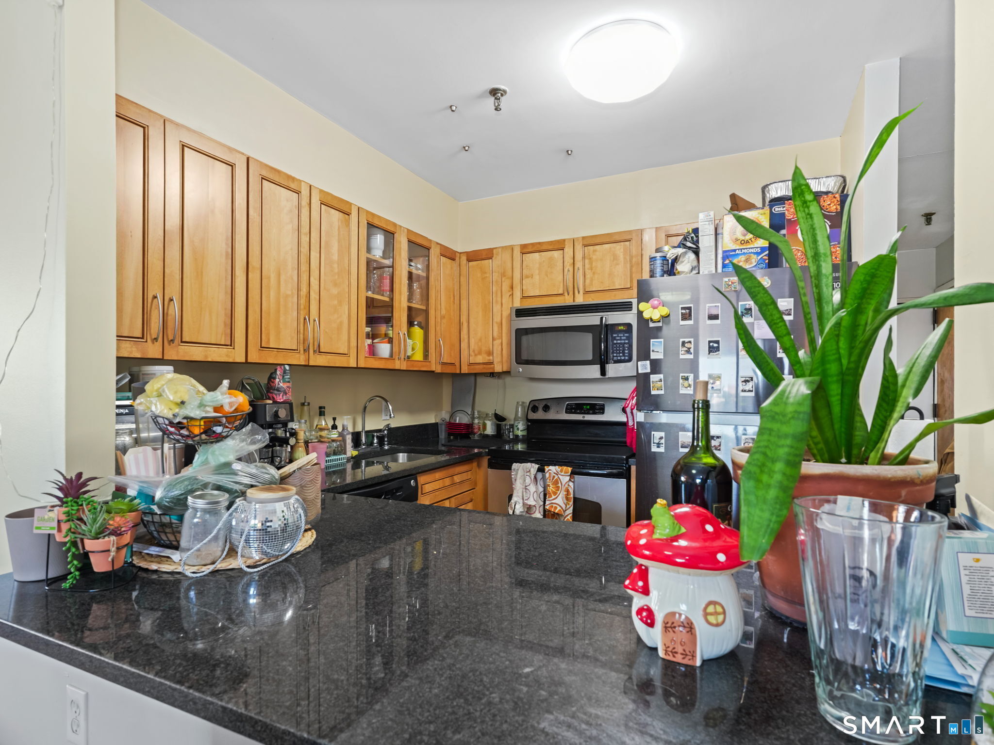 51 Schuyler Avenue Stamford CT 06902