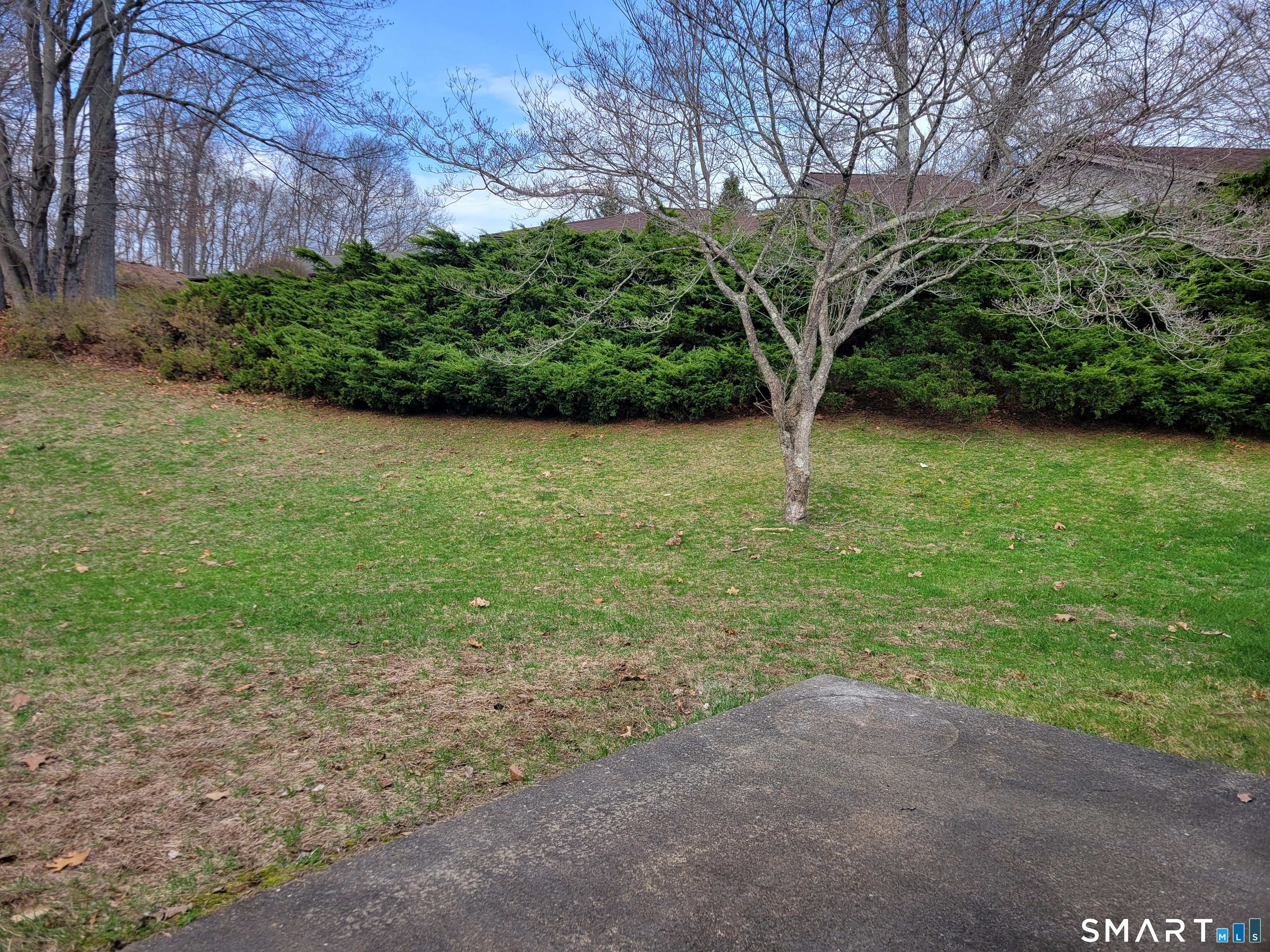 14 Sycamore Drive Mansfield CT 06268