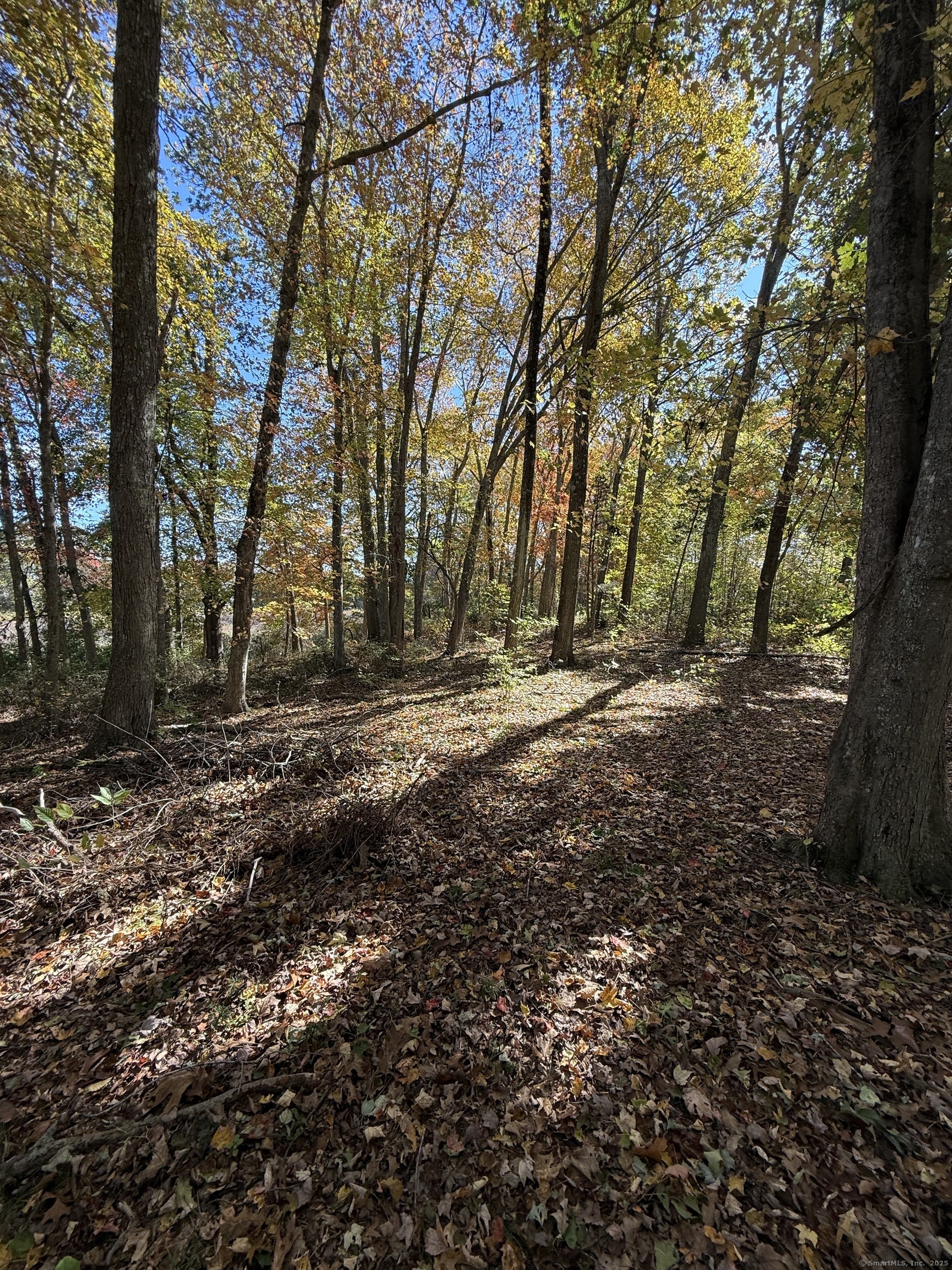 1 Huntley Road Old Lyme CT 06371