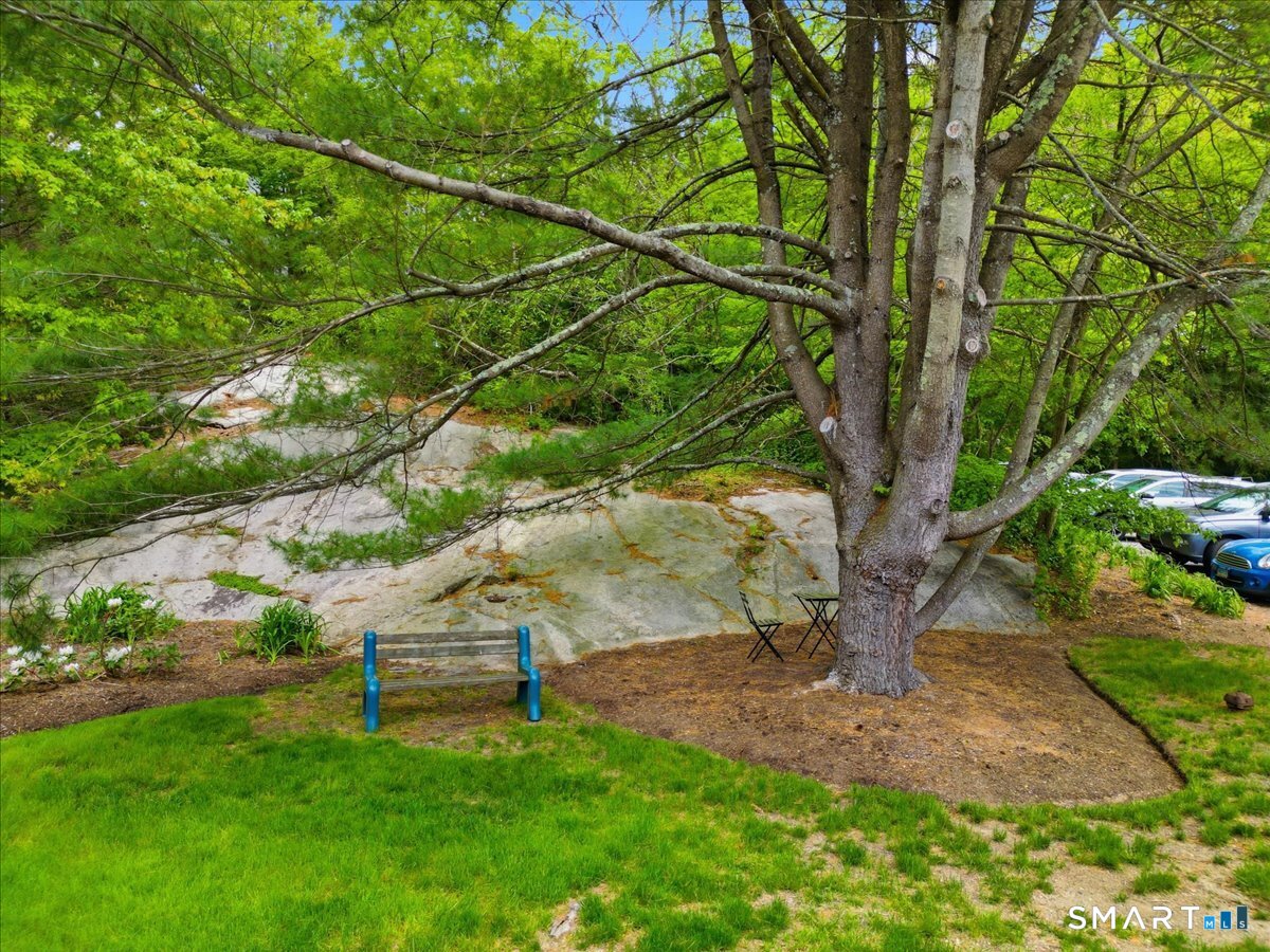 35 Saybrook Road Essex CT 06426