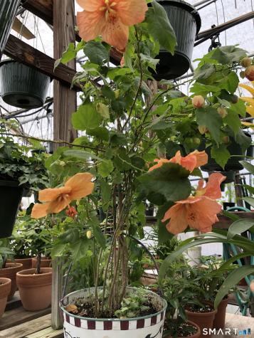 671 Rubber Avenue Naugatuck CT 06770