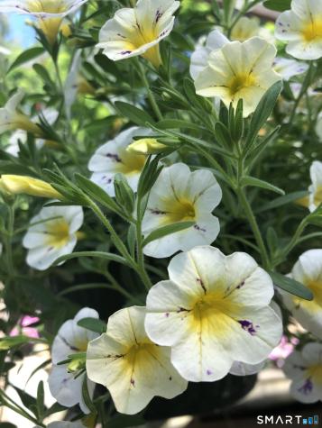 671 Rubber Avenue Naugatuck CT 06770