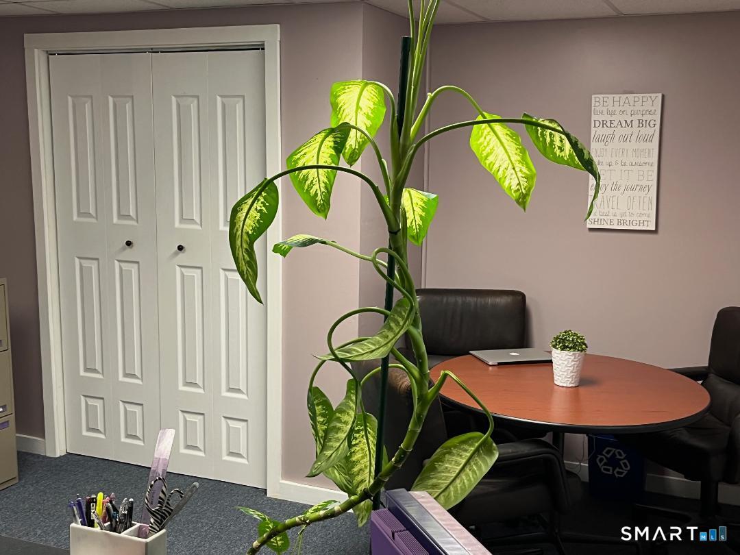 284 Merrow Road Tolland CT 06084