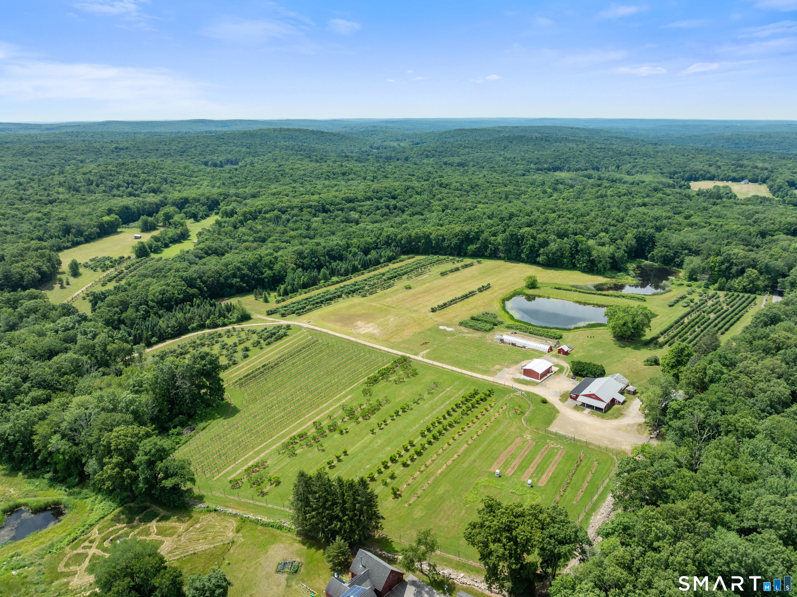 317 Bebbington Road Ashford CT 06278