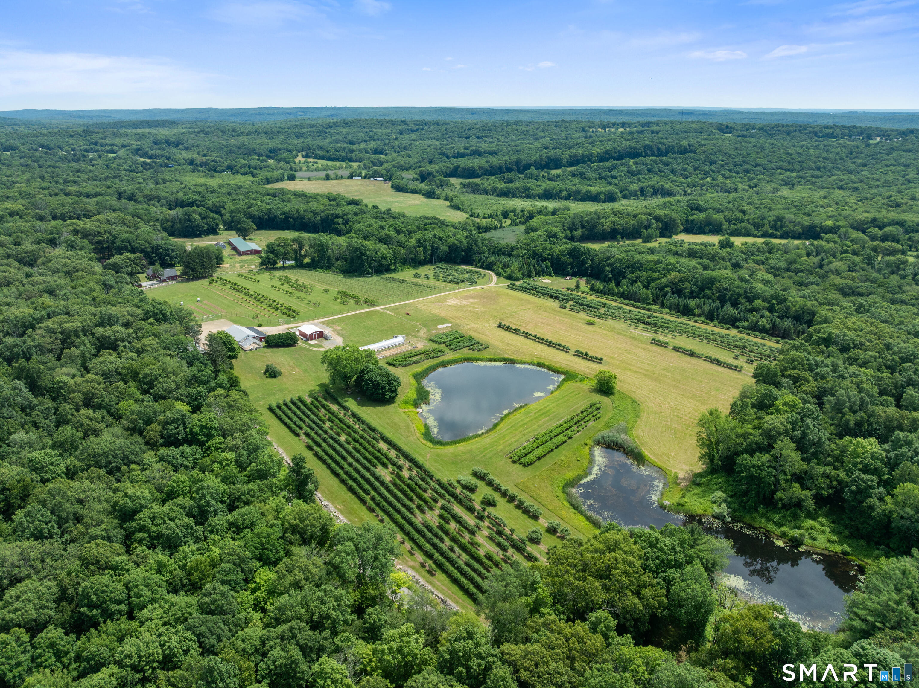317 Bebbington Road Ashford CT 06278