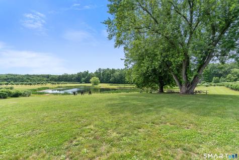 317 Bebbington Road Ashford CT 06278