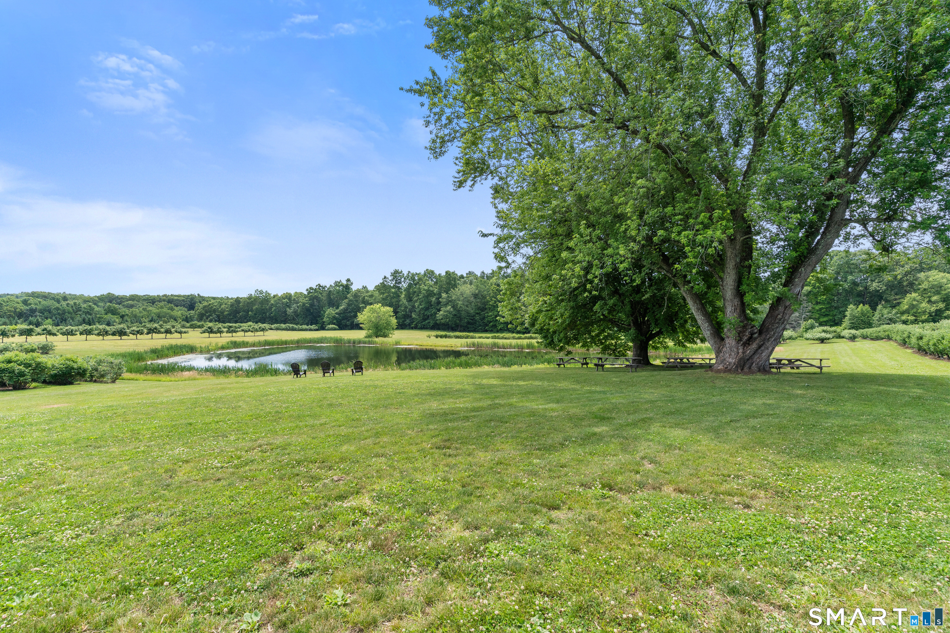 317 Bebbington Road Ashford CT 06278
