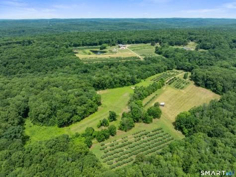 317 Bebbington Road Ashford CT 06278