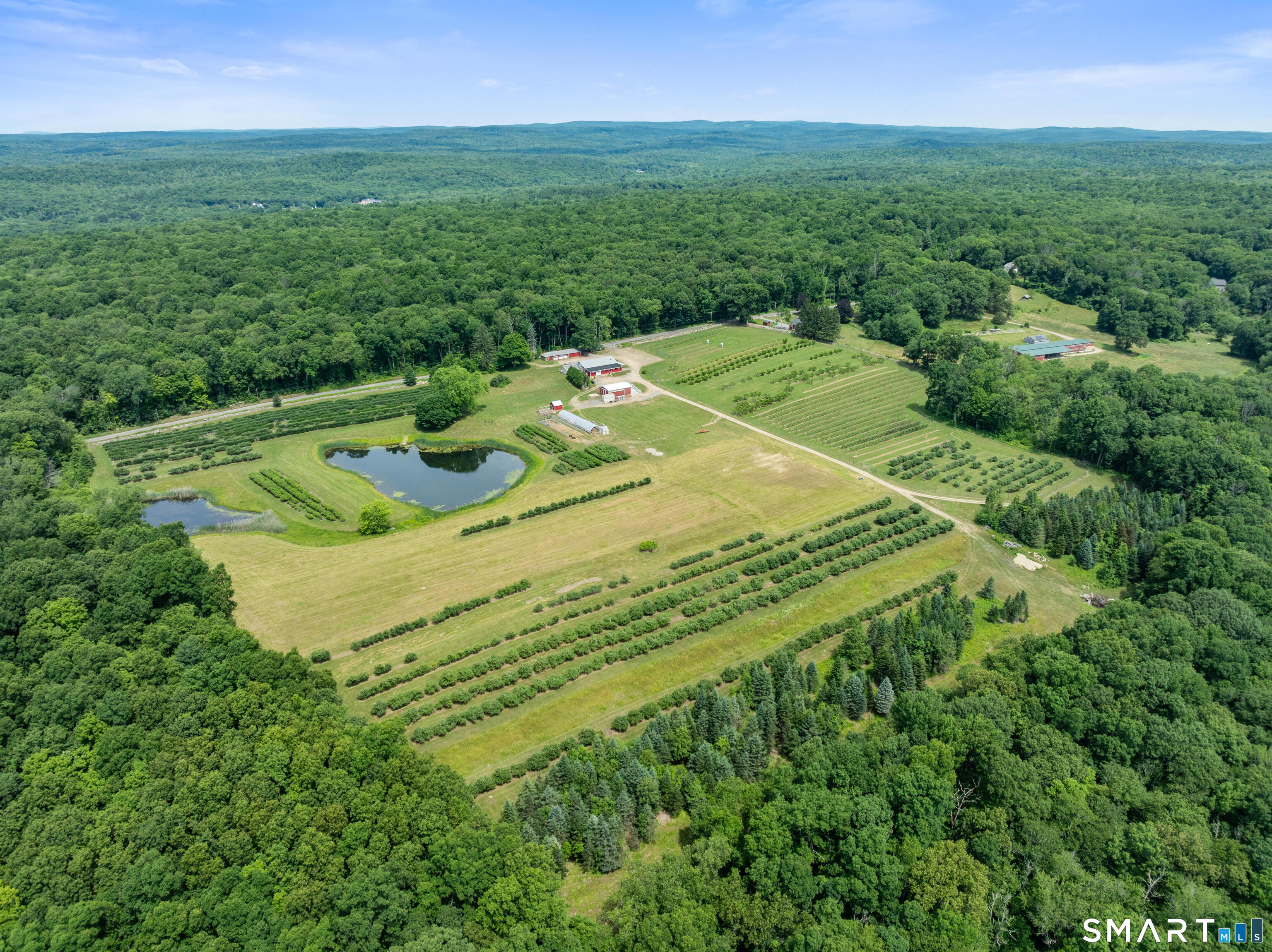 317 Bebbington Road Ashford CT 06278