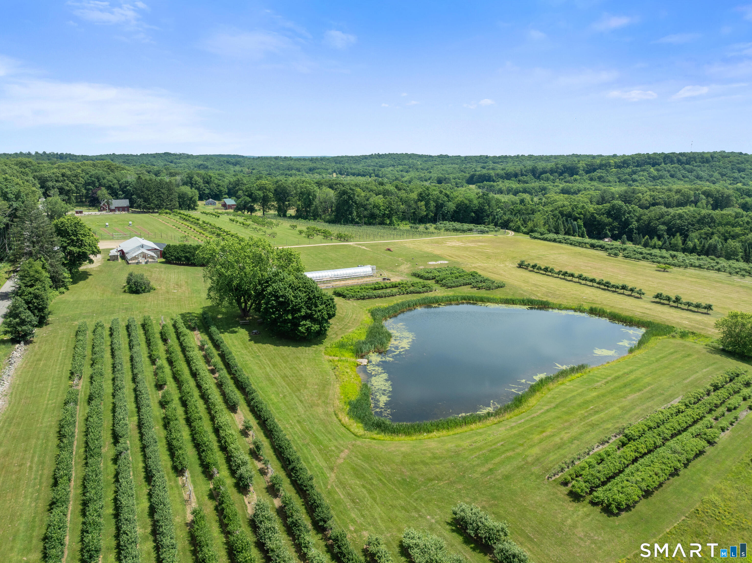317 Bebbington Road Ashford CT 06278