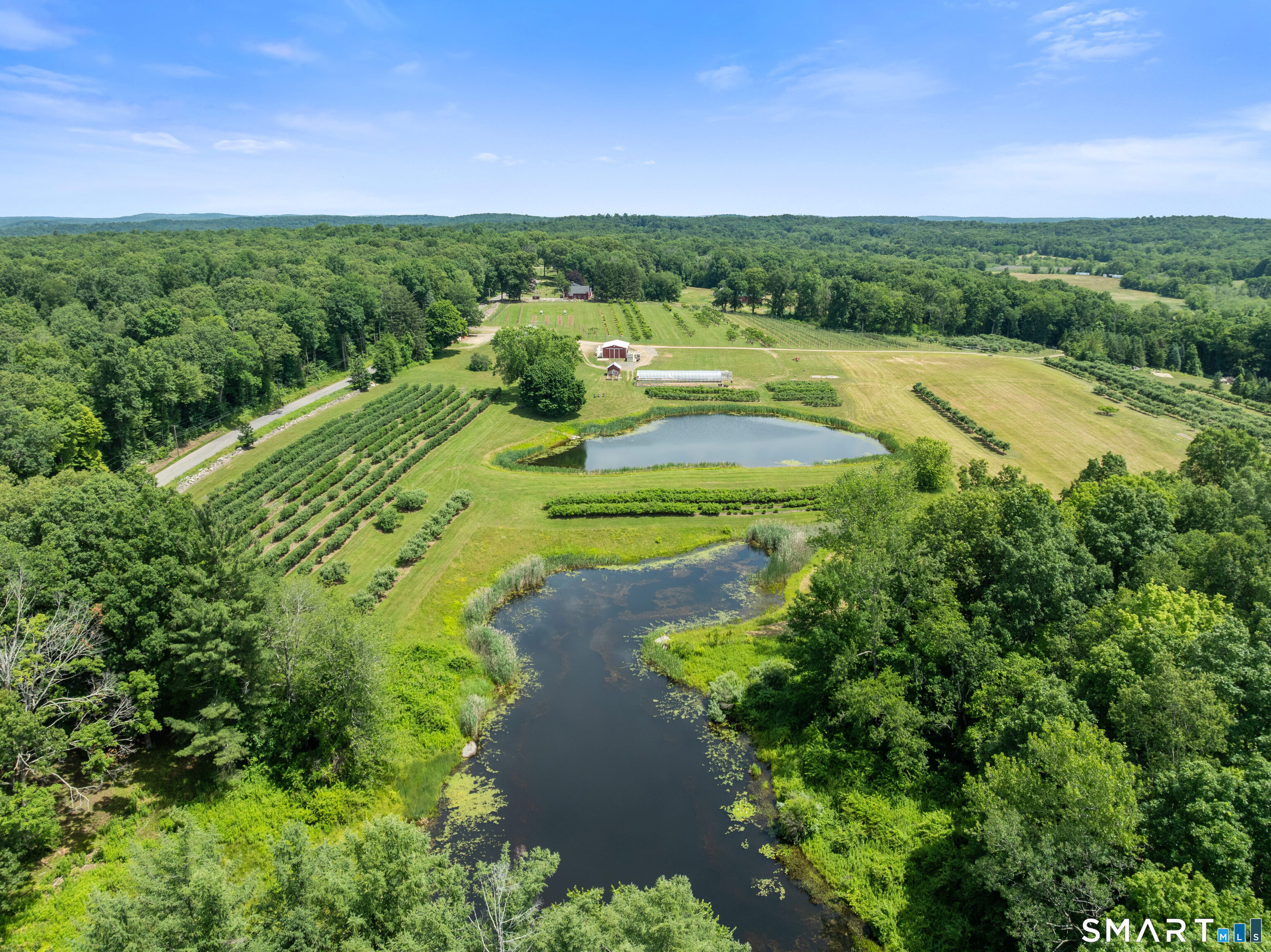 317 Bebbington Road Ashford CT 06278