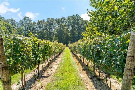 115 Cow Hill Road Clinton CT 06413