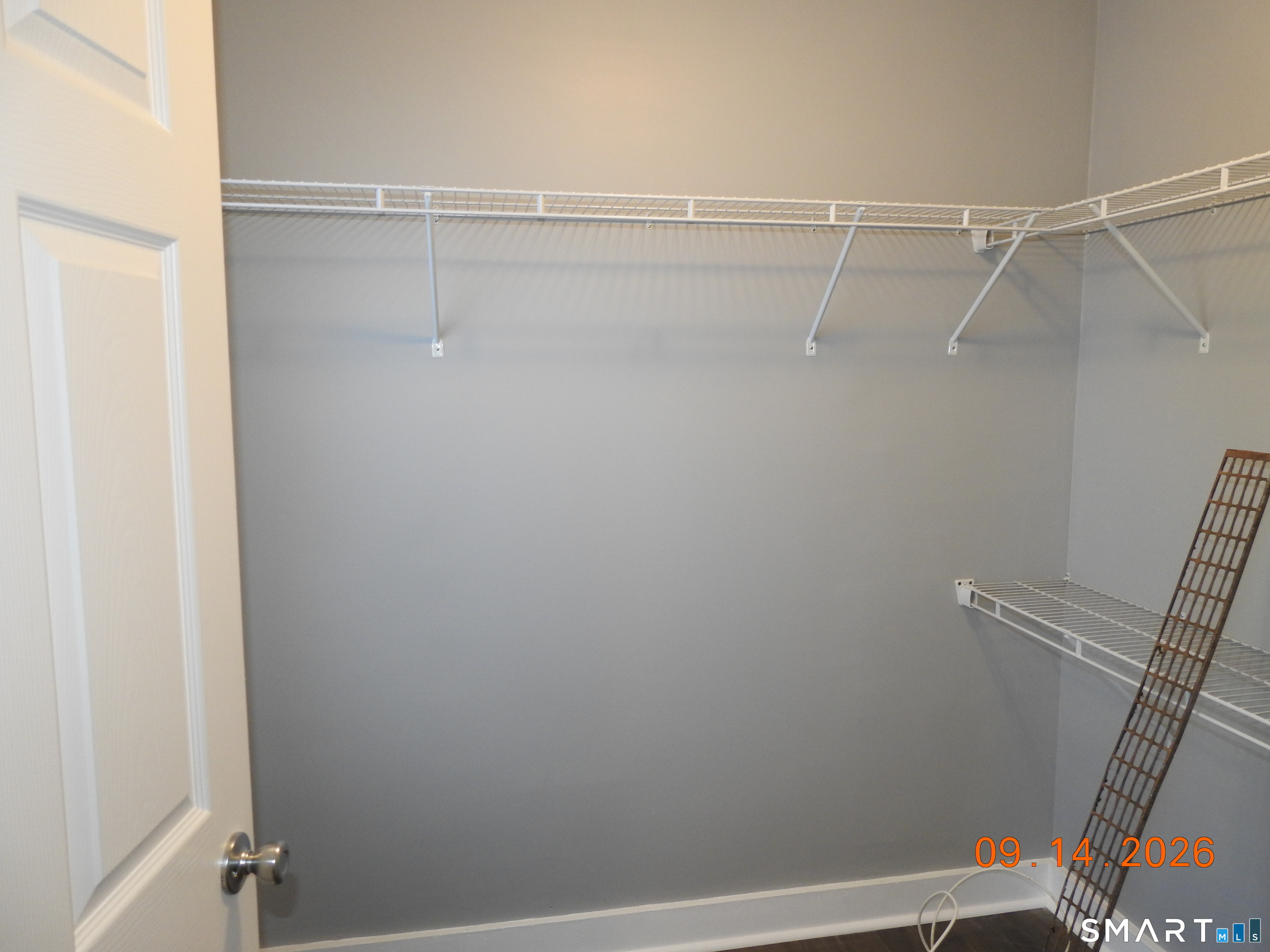 1565 Chapel Street New Haven CT 06511