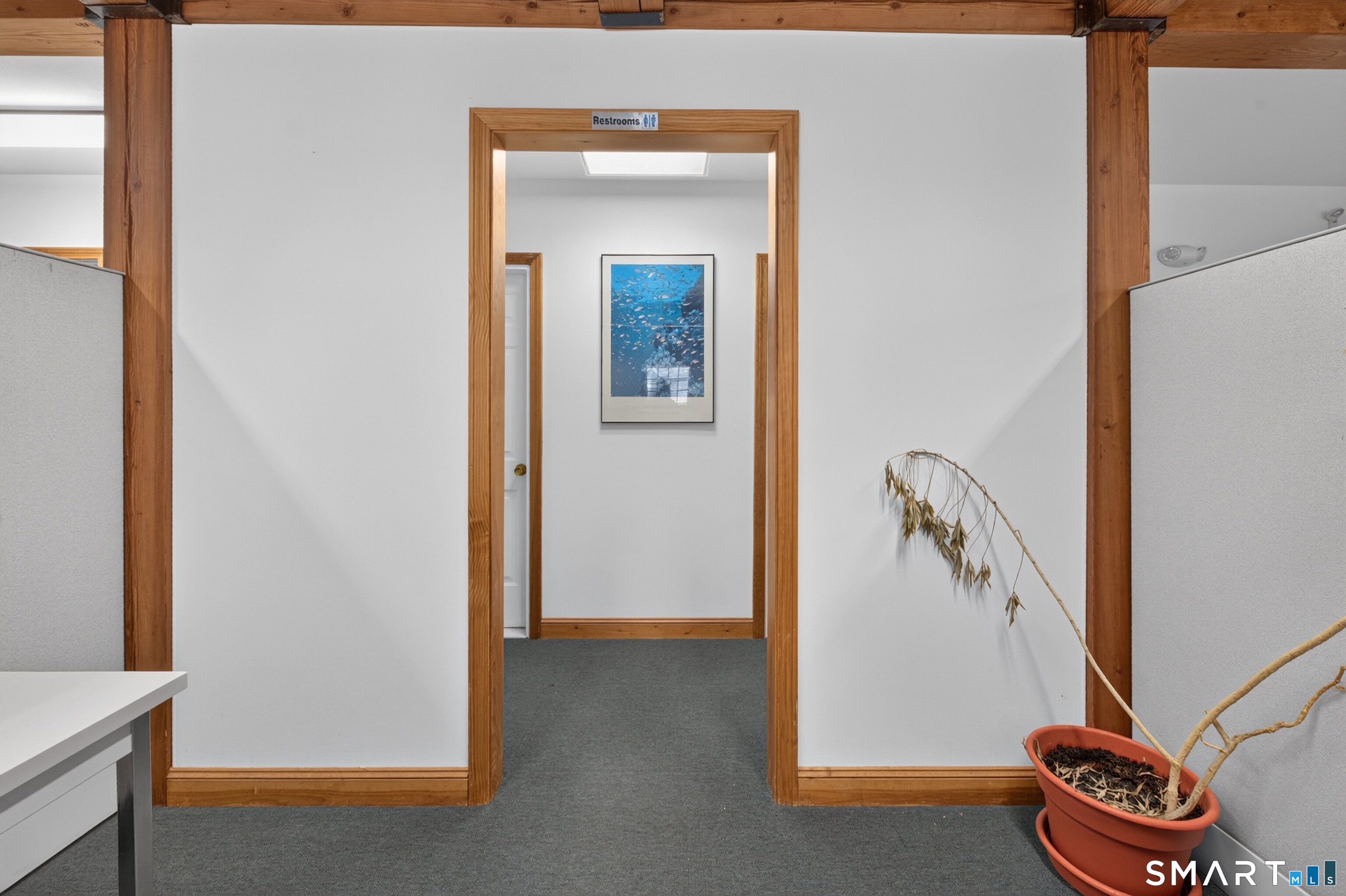908 South Meriden Road Cheshire CT 06410