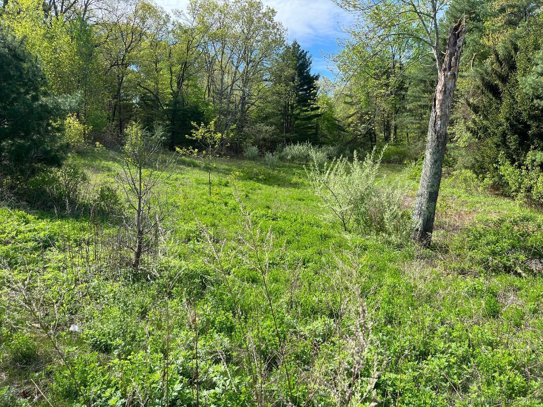 248 Merrow Road Tolland CT 06084