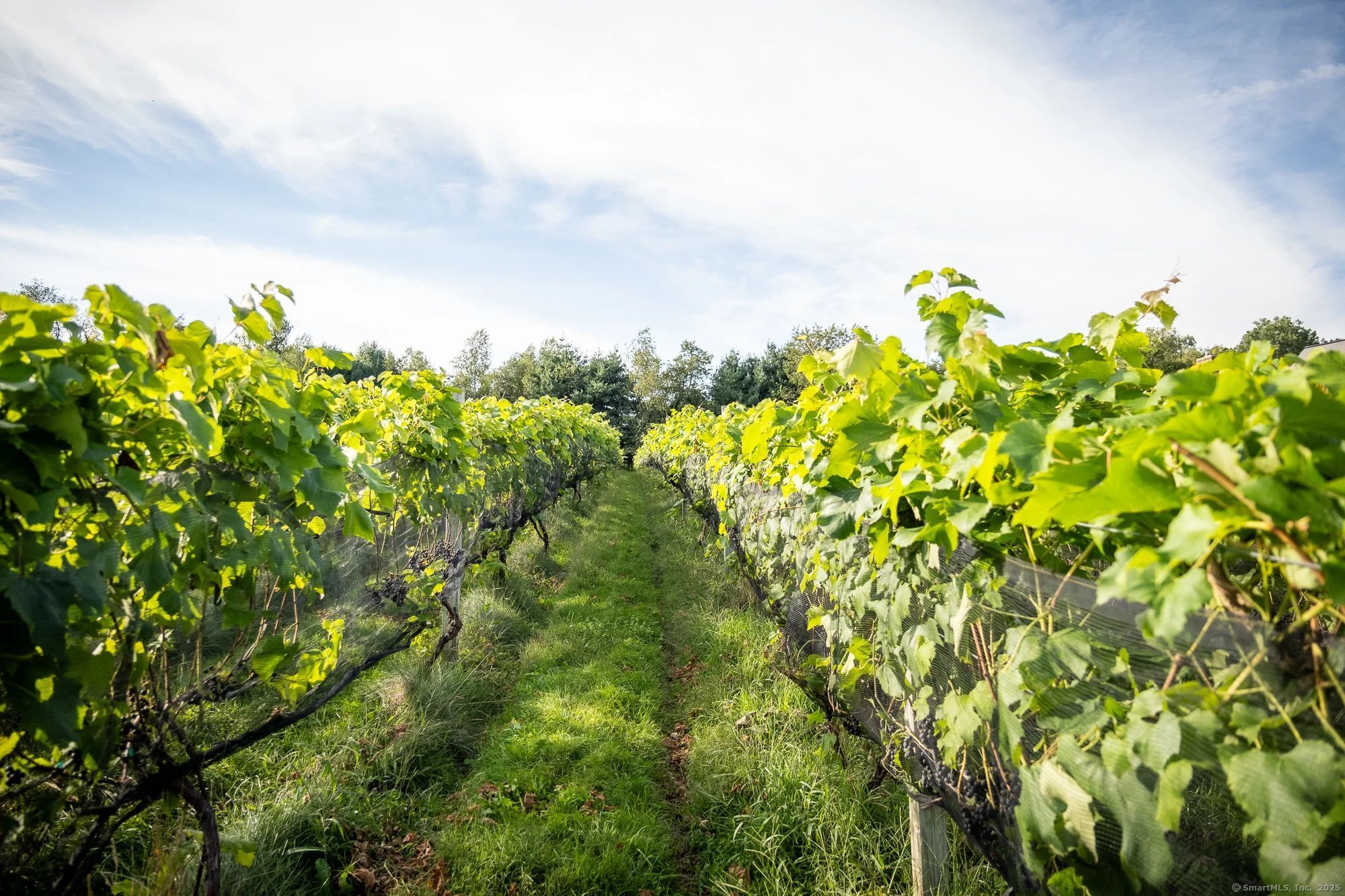 848 Route 171 Route Woodstock CT 06281