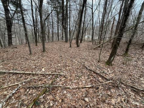 439 Washington Road Woodbury CT 06798