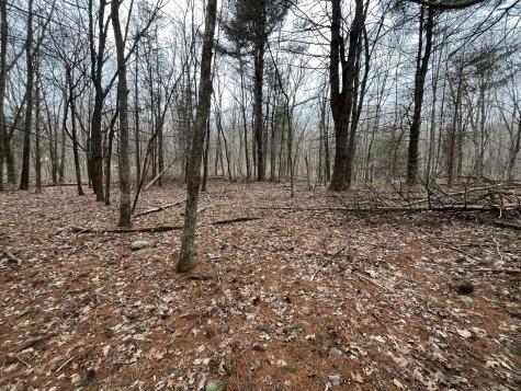 439 Washington Road Woodbury CT 06798