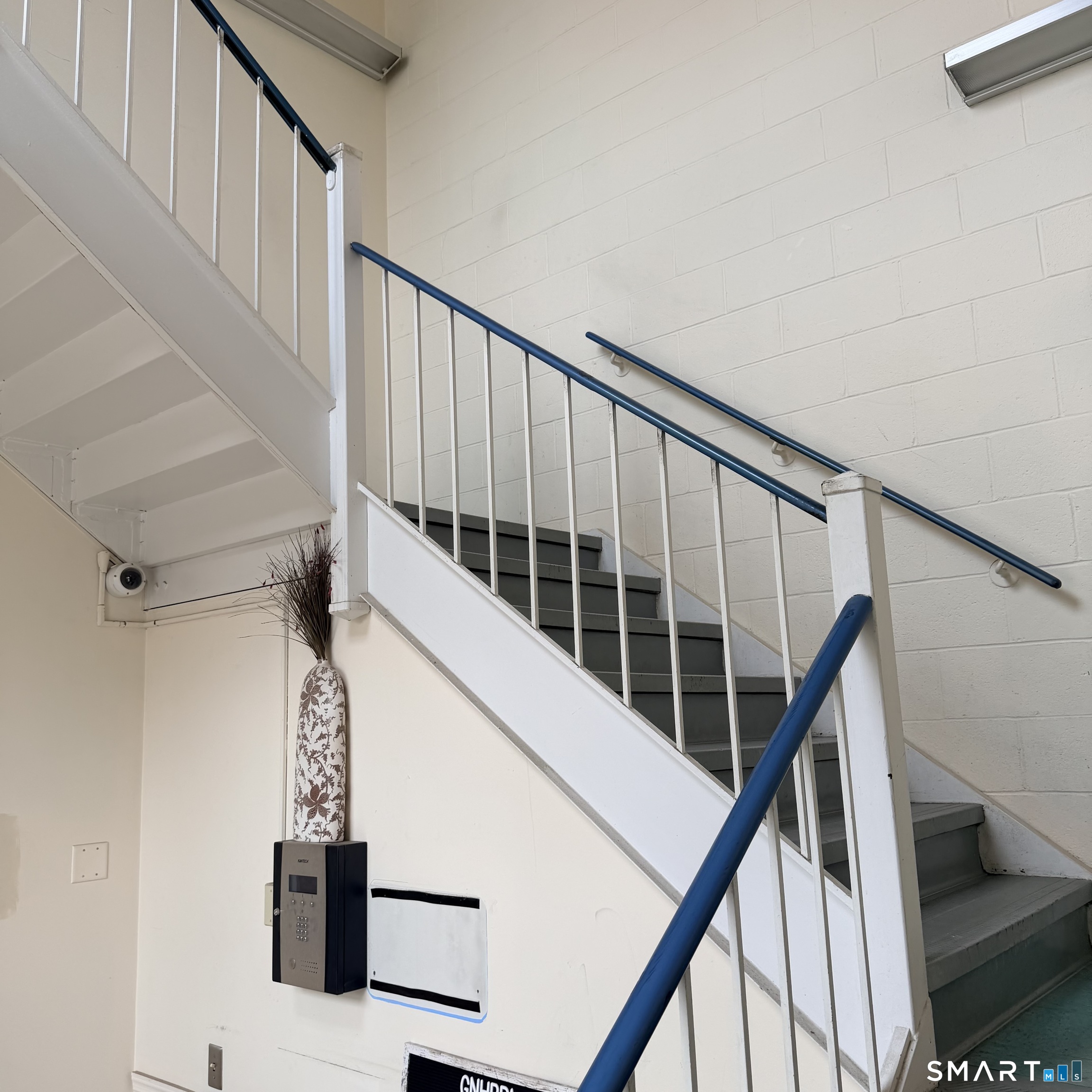 1294 Chapel Street New Haven CT 06511