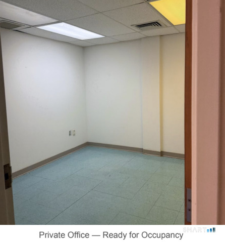 1294 Chapel Street New Haven CT 06511