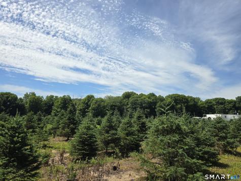 11 Bunker Hill Road Andover CT 06232