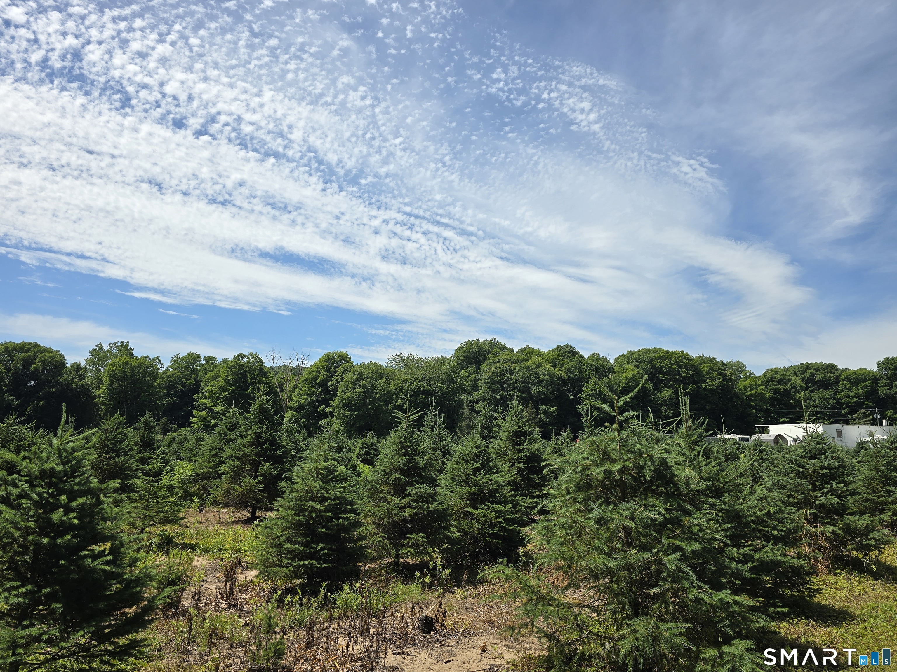11 Bunker Hill Road Andover CT 06232