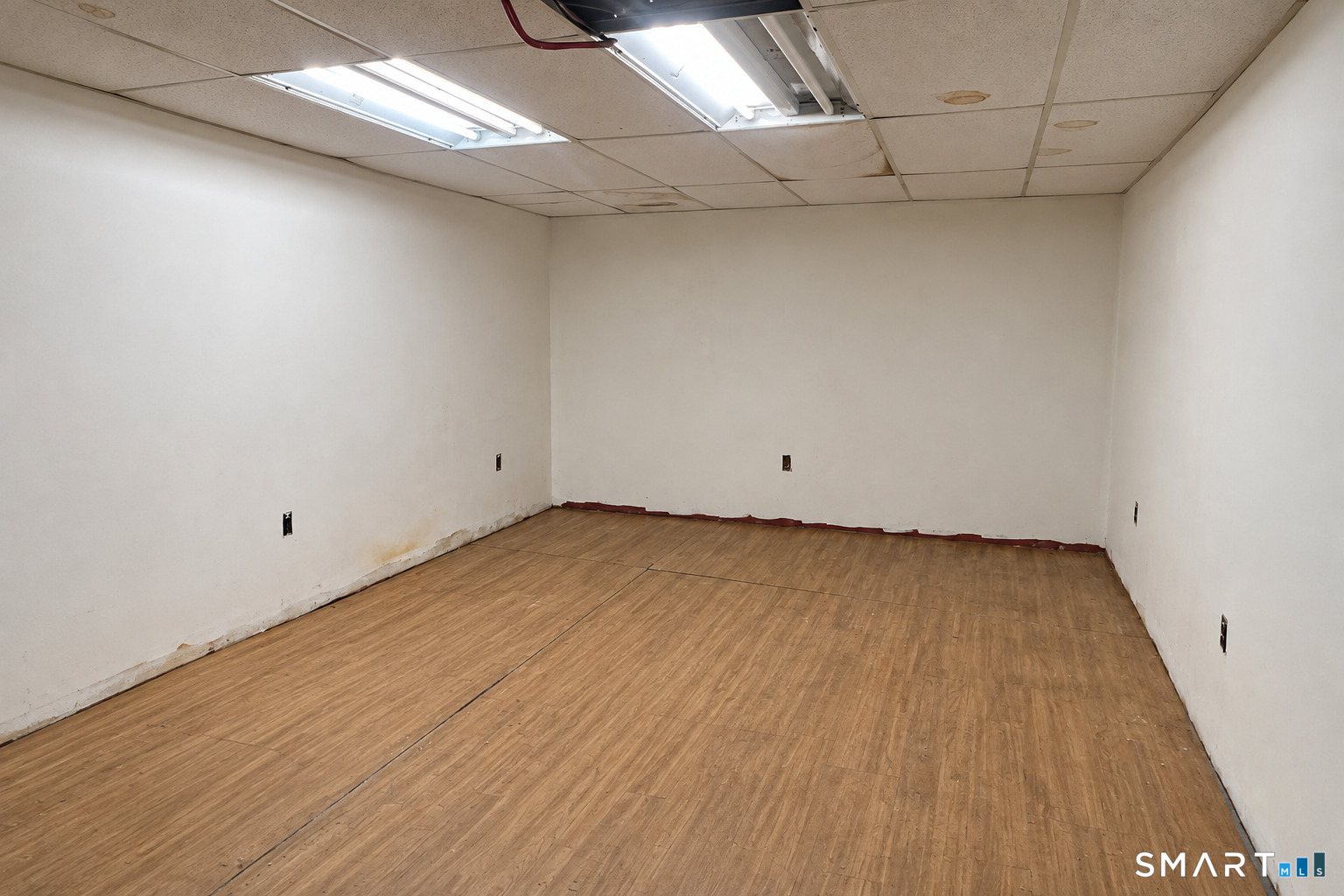 203 Wallace Street New Haven CT 06511