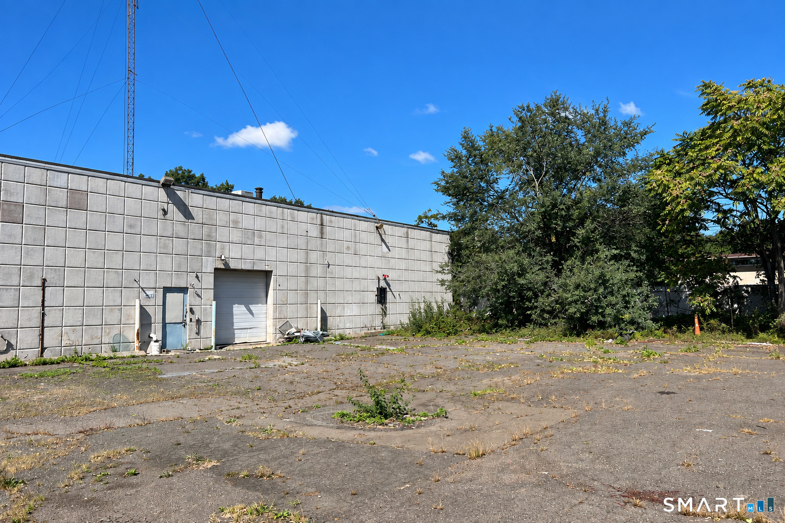 203 Wallace Street New Haven CT 06511