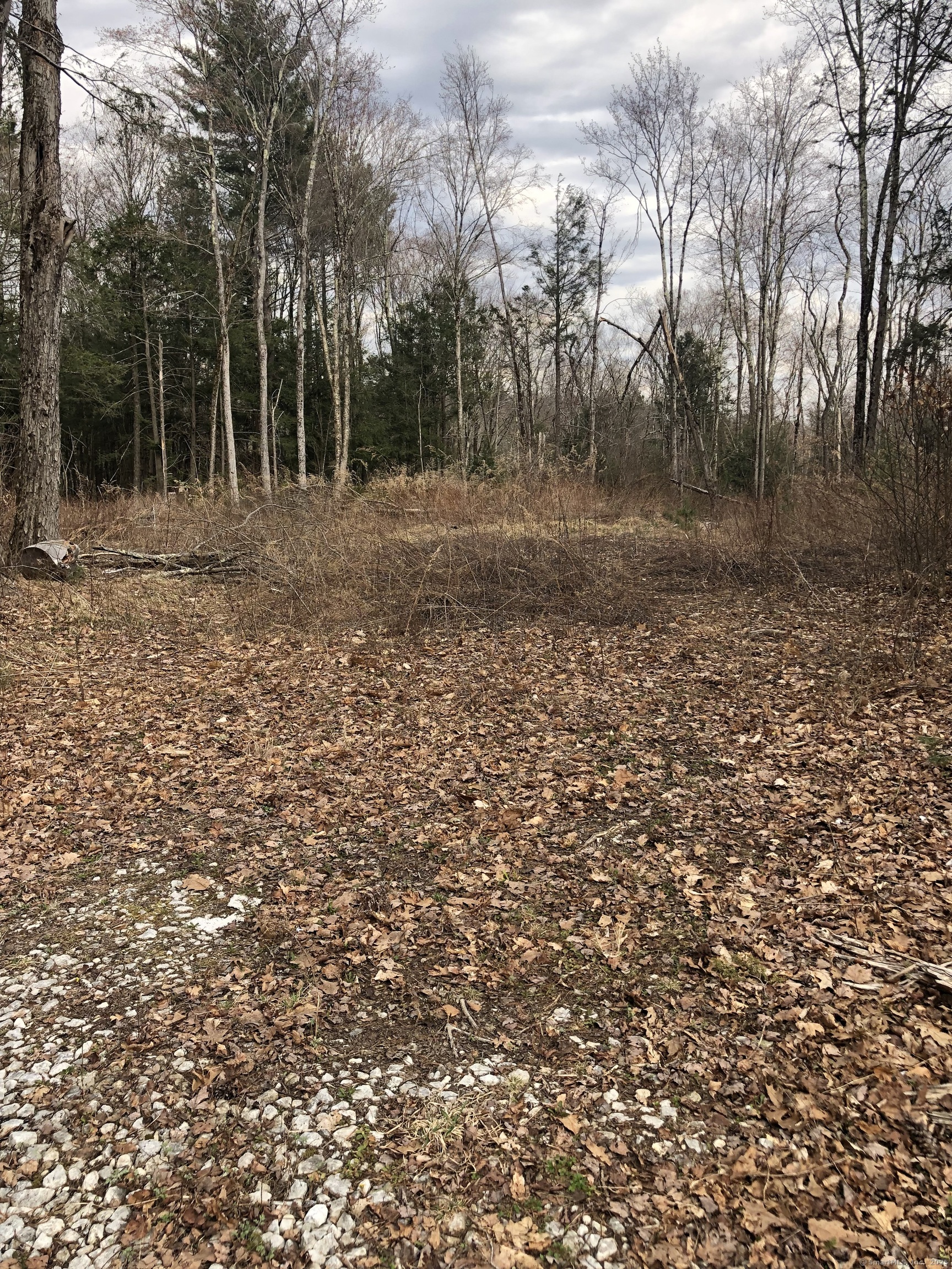 Winsted - Norfolk Road Colebrook CT 06021