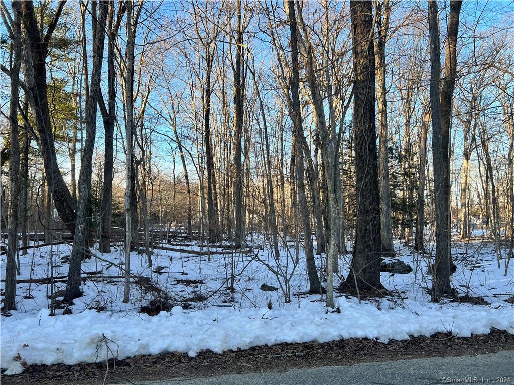 21 Westview Drive Ashford CT 06278