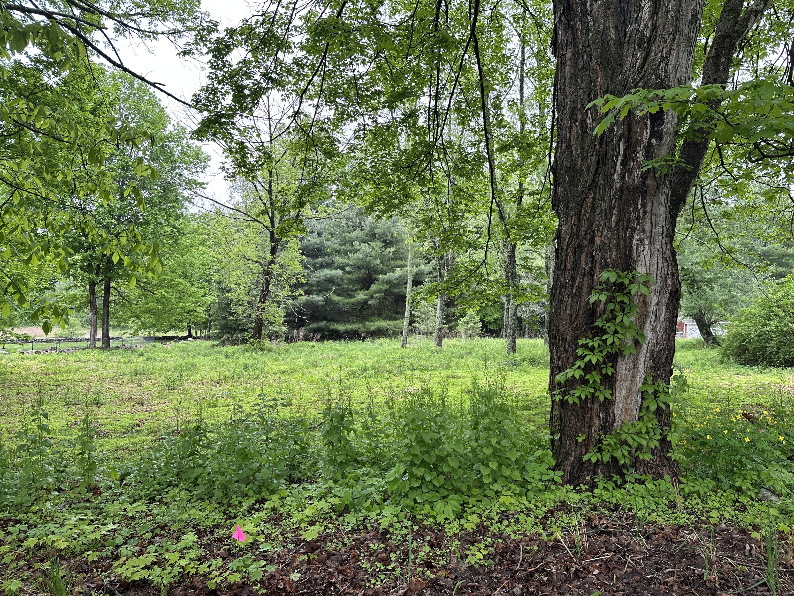 Prospect Hill Road Colchester CT 06415