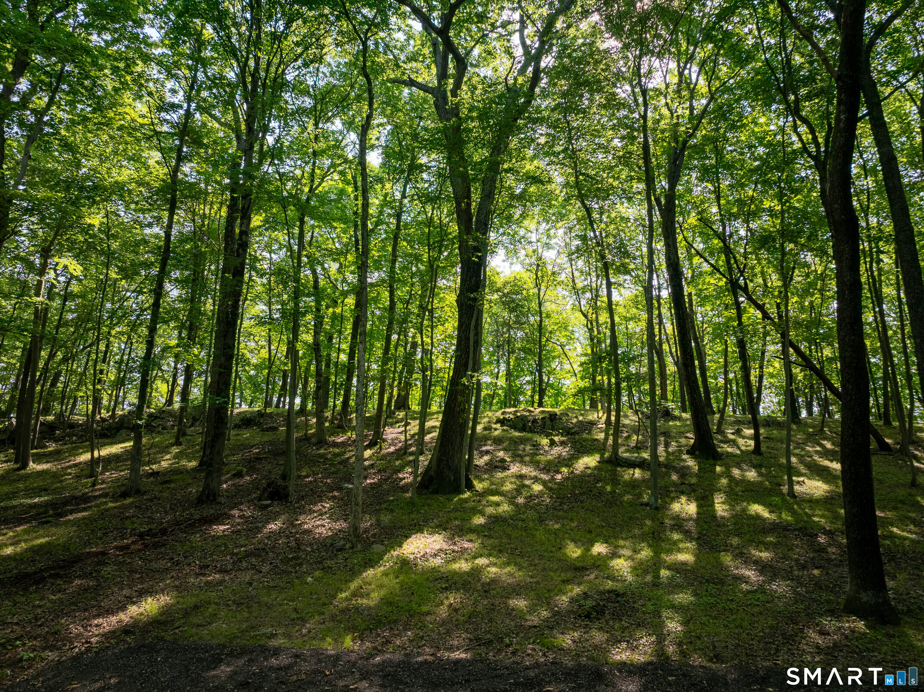 81 Mountain Road Prospect CT 06712
