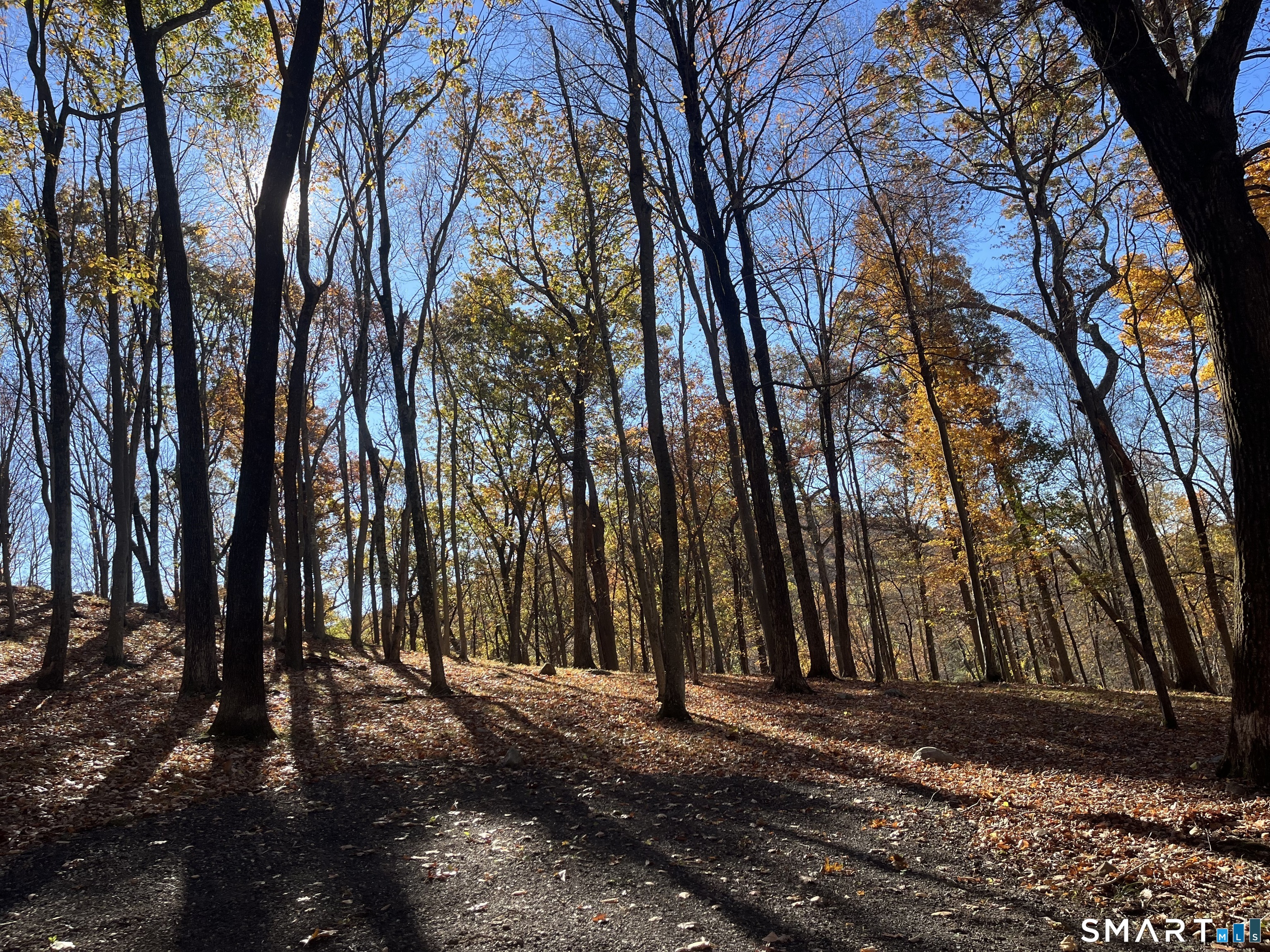 81 Mountain Road Prospect CT 06712