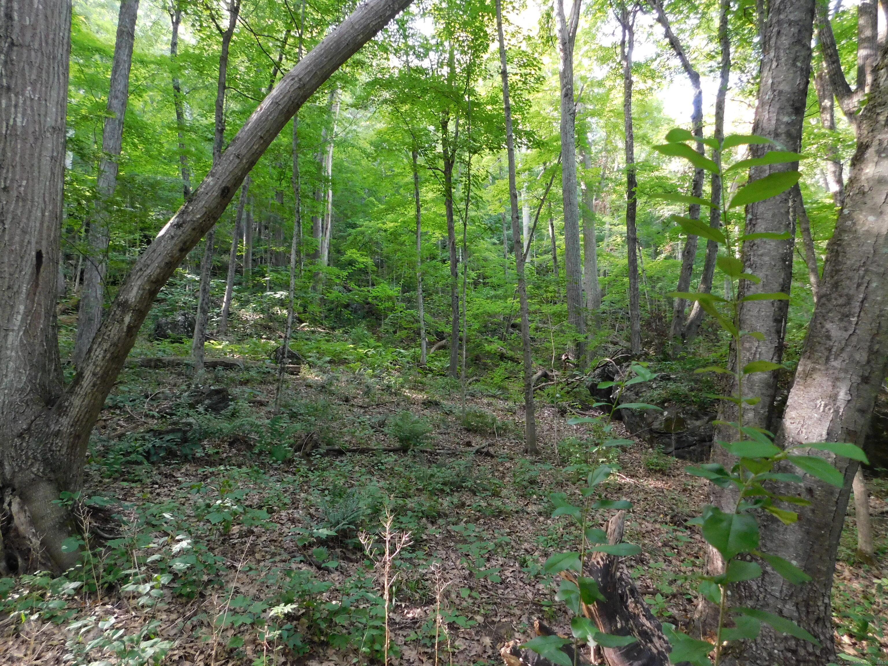 153 White Hollow Road Salisbury CT 06039