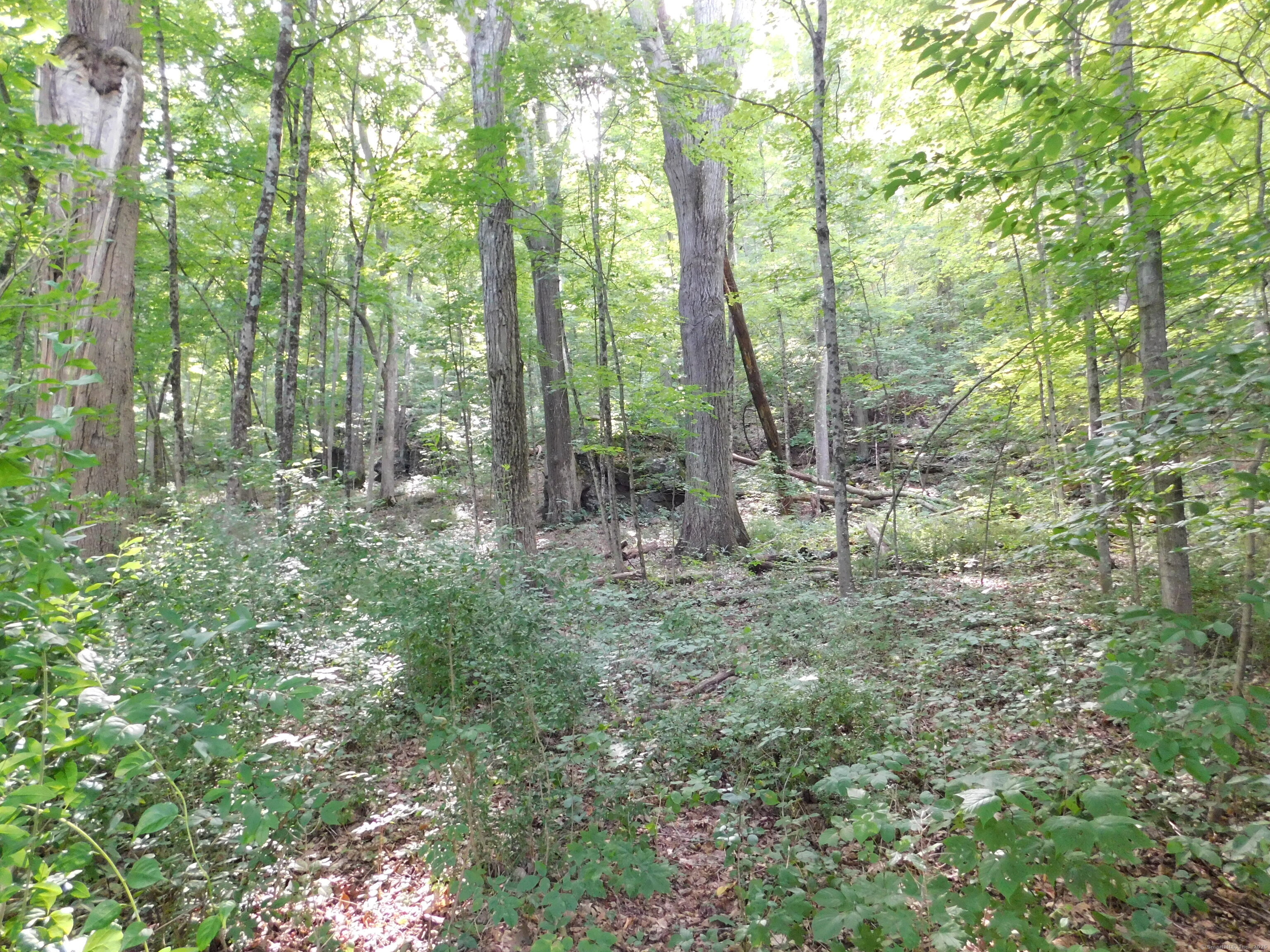 153 White Hollow Road Salisbury CT 06039